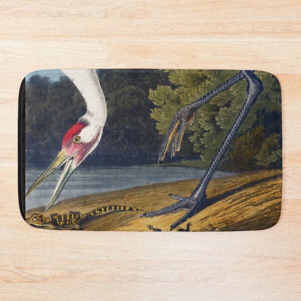 Aperçu de l'œuvre Grue cerclée des oiseaux d'Amérique, adorable grue blanche, grue blanche Grus Americana, oiseau sauvage de la grue blanche créée et vendue par Trendymotion.