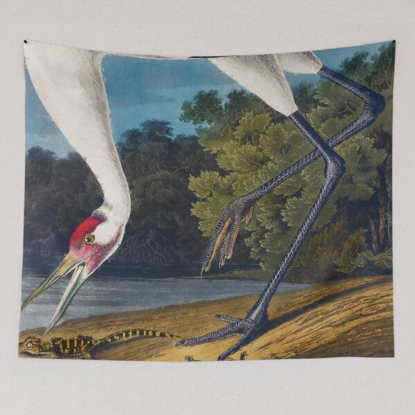 Aperçu de l'œuvre Grue cerclée des oiseaux d'Amérique, adorable grue blanche, grue blanche Grus Americana, oiseau sauvage de la grue blanche créée et vendue par Trendymotion.