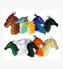 Wings of Fire - POV Characters Photographic Print