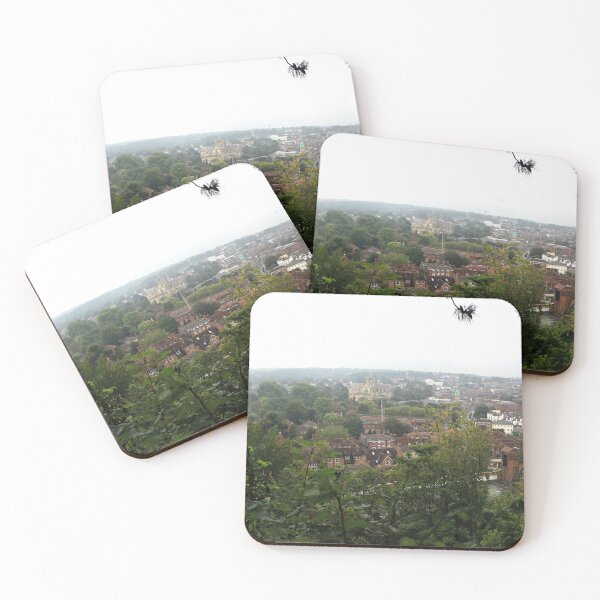 Item preview, Winchester View designed and sold by pinkal.
