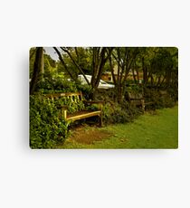 Classic Cricket Canvas Print