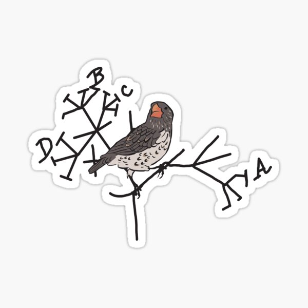 Darwin's Finch  Sticker