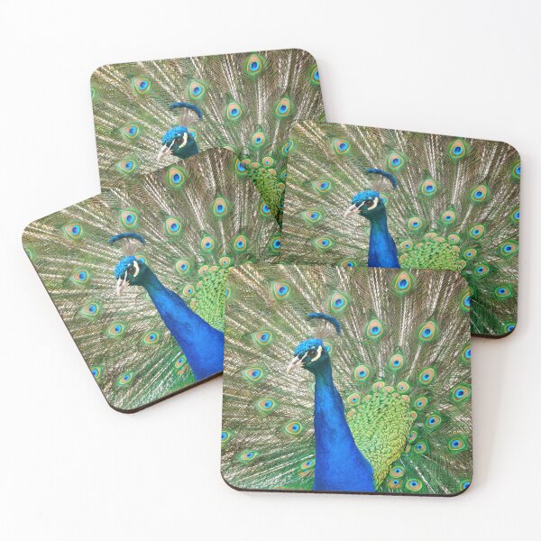 Item preview, Peacock Close Up, London designed and sold by HilaryLeslie.