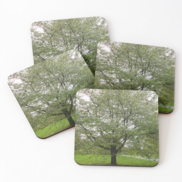 Item preview, Hyde Park, London designed and sold by HilaryLeslie.