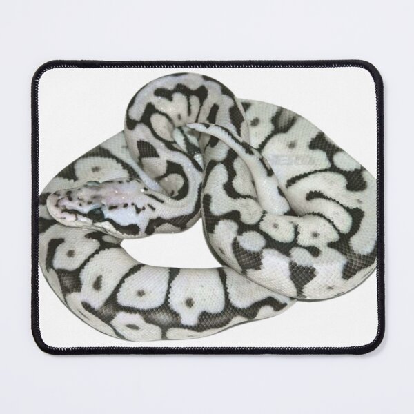 Item preview, ball python mystic potion designed and sold by zaki ⭐⭐⭐⭐⭐.