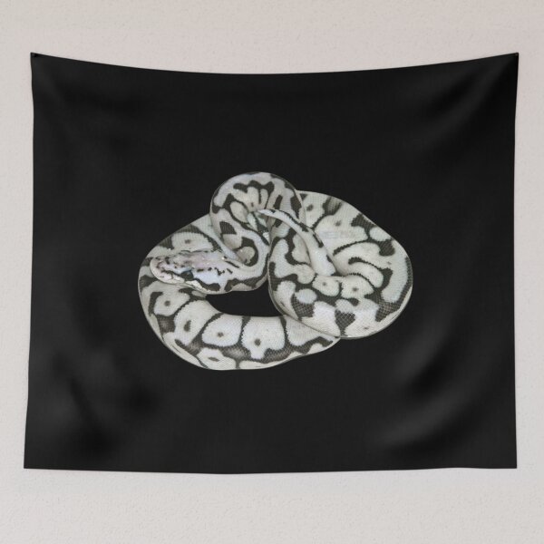 Item preview, ball python mystic potion designed and sold by zaki ⭐⭐⭐⭐⭐.