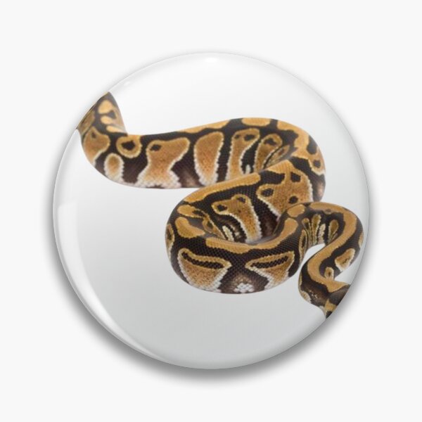 Item preview,  ball python mystic potion designed and sold by zaki ⭐⭐⭐⭐⭐.