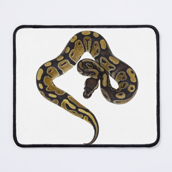 Item preview,  ball python mystic potion designed and sold by zaki ⭐⭐⭐⭐⭐.