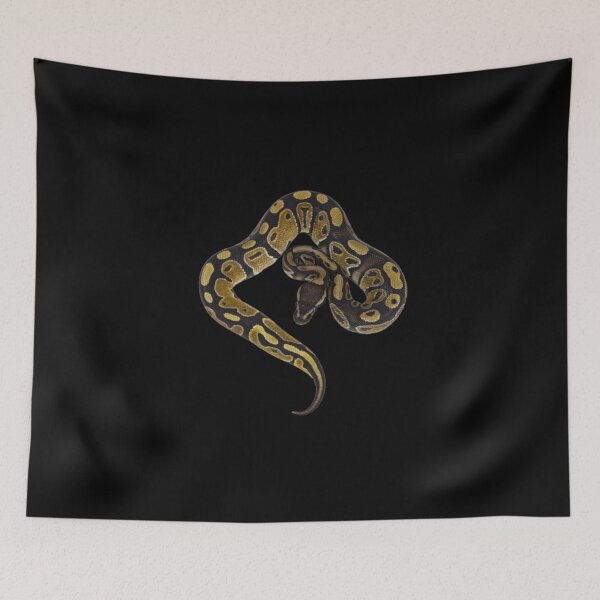Item preview,  ball python mystic potion designed and sold by zaki ⭐⭐⭐⭐⭐.