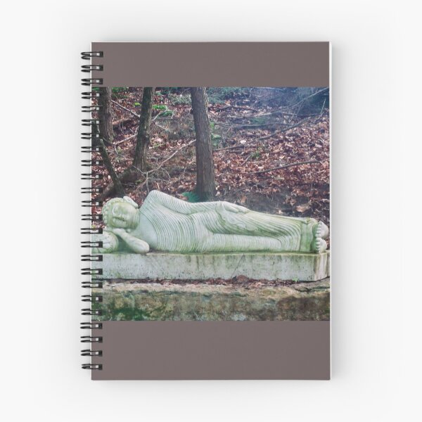Item preview, Reclining Buddha designed and sold by Shulie1.
