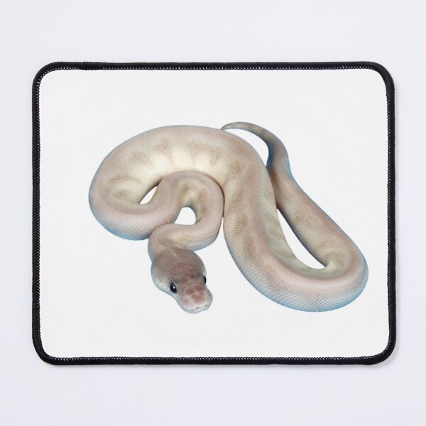 Item preview, ball python mystic potion designed and sold by zaki ⭐⭐⭐⭐⭐.