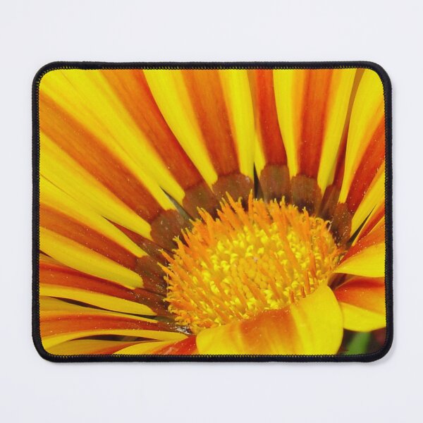 Item preview, Red and Yellow Gazania Photograph designed and sold by taiche.