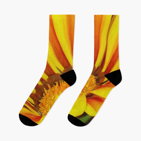 Item preview, Red and Yellow Gazania Photograph designed and sold by taiche.