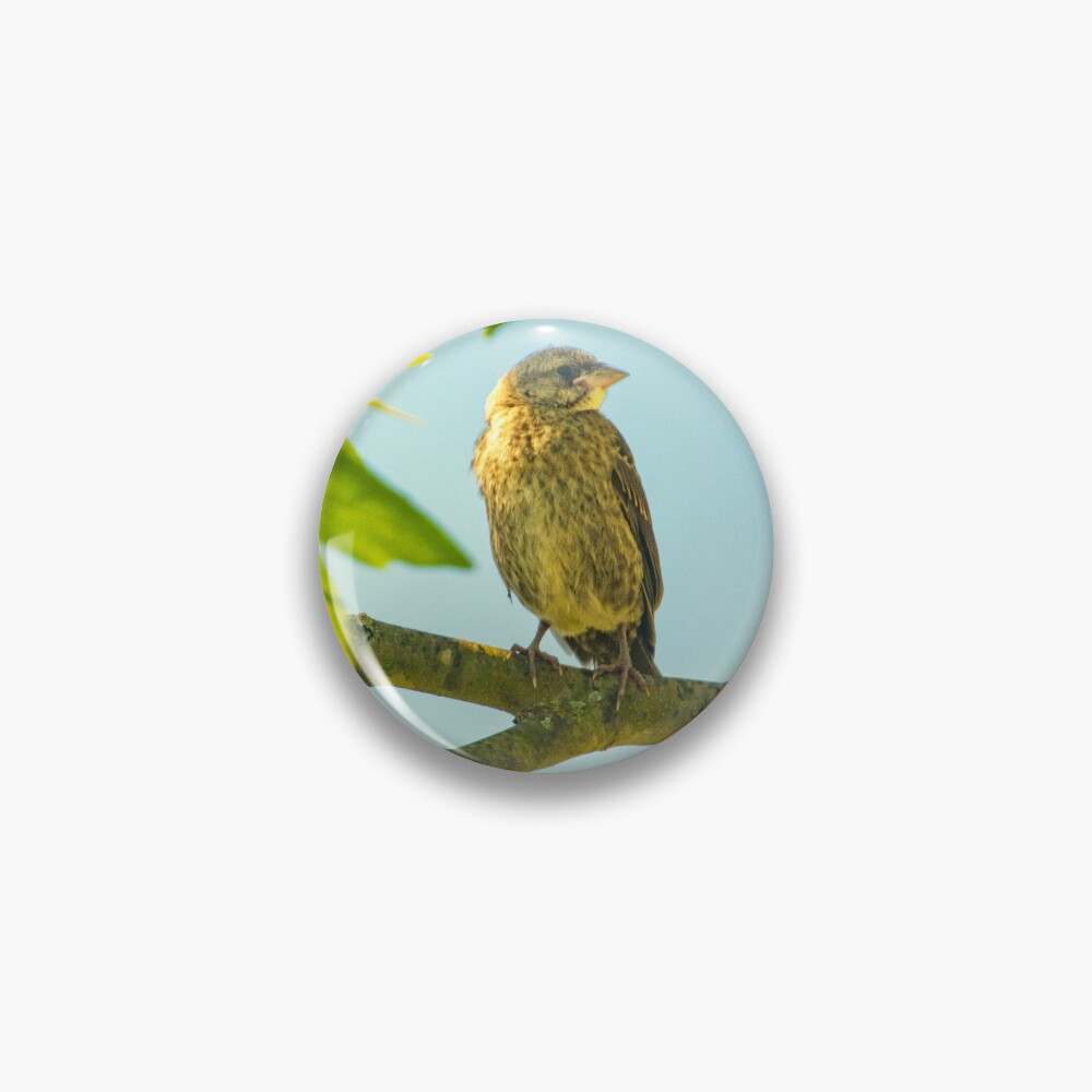 Item preview, Pin designed and sold by Ruthie33.
