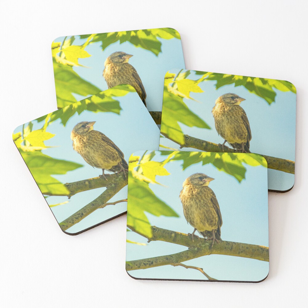 Item preview, Coasters (Set of 4) designed and sold by Ruthie33.