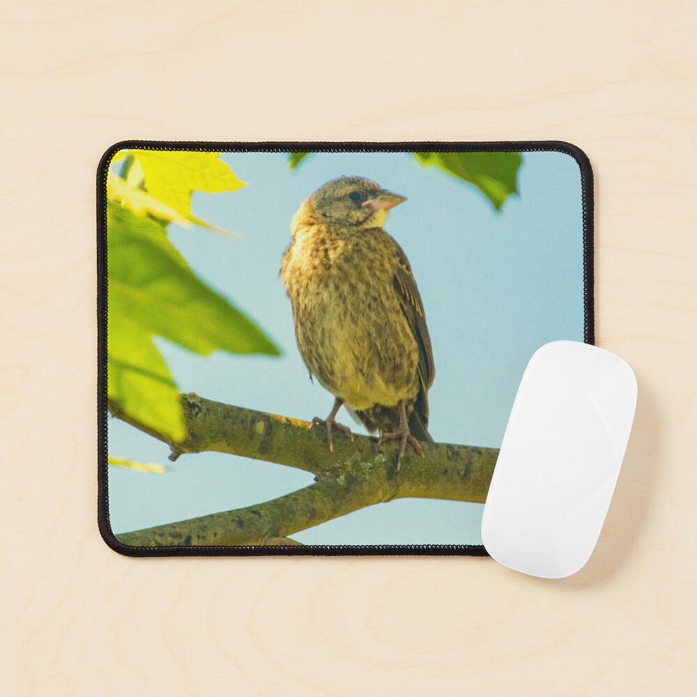 Item preview, Mouse Pad designed and sold by Ruthie33.