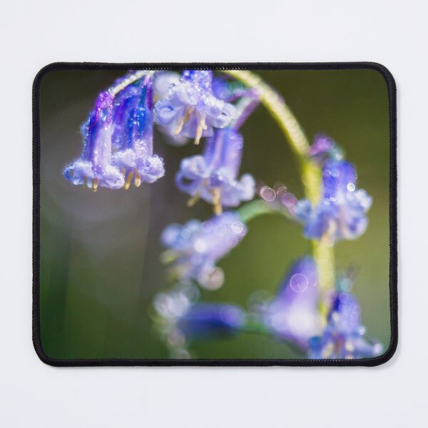 Item preview, Gorgeous little bluebell covered in rain drops designed and sold by CyaniRose.