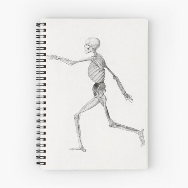 Item preview, Human Skeleton designed and sold by NickLivin.