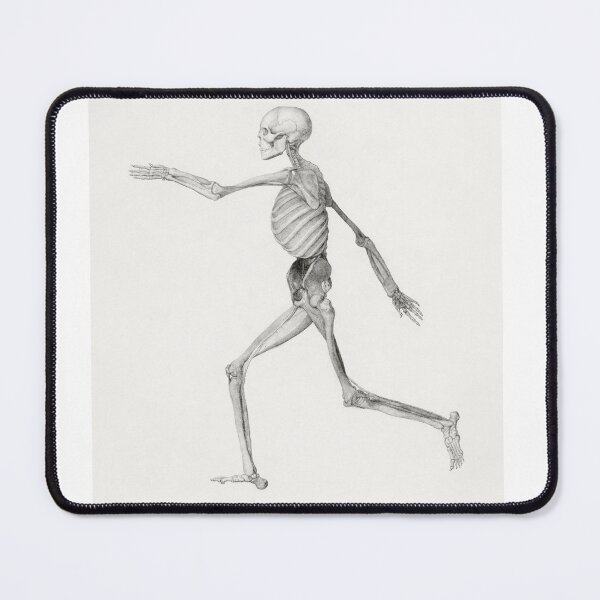 Item preview, Human Skeleton designed and sold by NickLivin.
