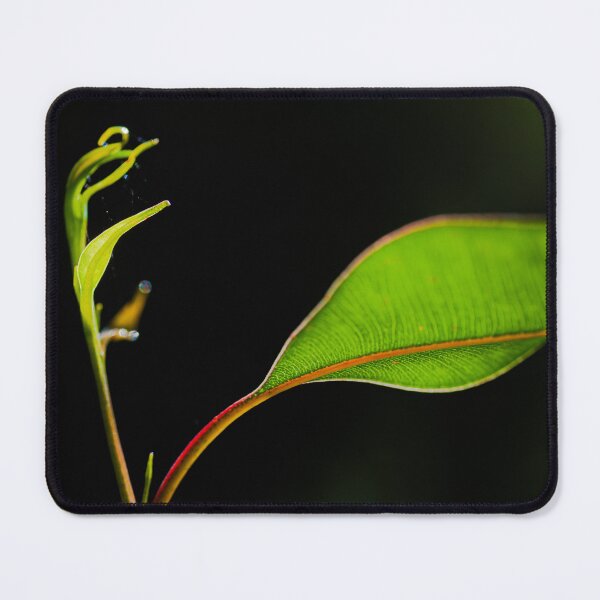 Item preview, New Growth designed and sold by metriognome.