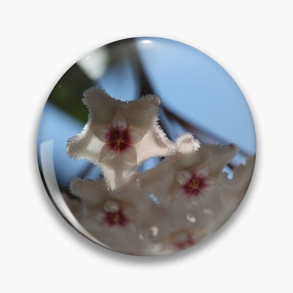 Item preview, Hoya Mathilde designed and sold by ztrnorge.