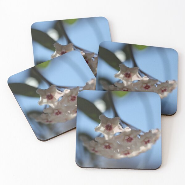 Item preview, Hoya Mathilde designed and sold by ztrnorge.