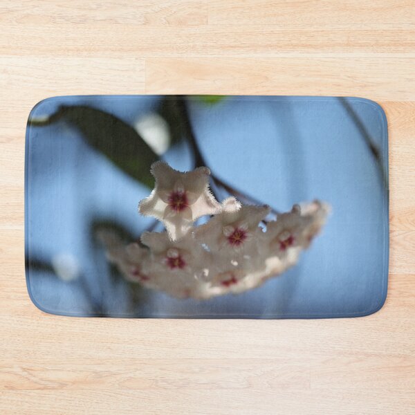 Item preview, Hoya Mathilde designed and sold by ztrnorge.