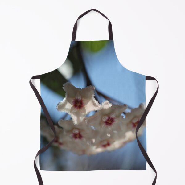 Item preview, Hoya Mathilde designed and sold by ztrnorge.
