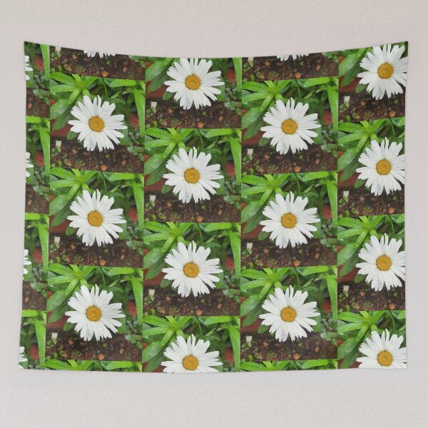 Item preview, Garden White daisies which are beautiful flowers symbolizing purity & innocence designed and sold by Arteartz.