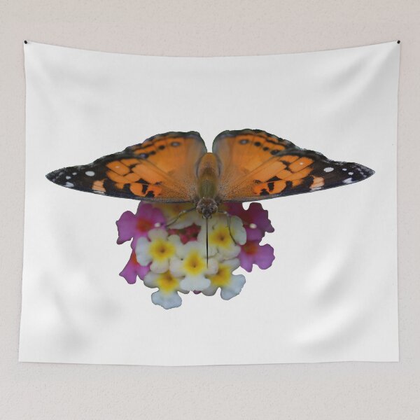 Item preview, feeding designed and sold by dnparker.