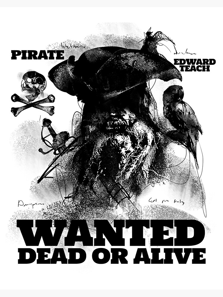 Print　Area31Studios　by　for　the　Poster　Sale　of　Board　Redbubble　Pirate