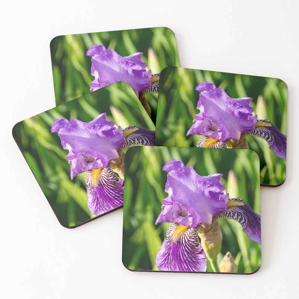 Item preview, Coasters (Set of 4) designed and sold by Ruthie33.