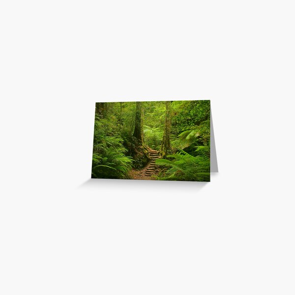 Magic Rainforest Greeting Card