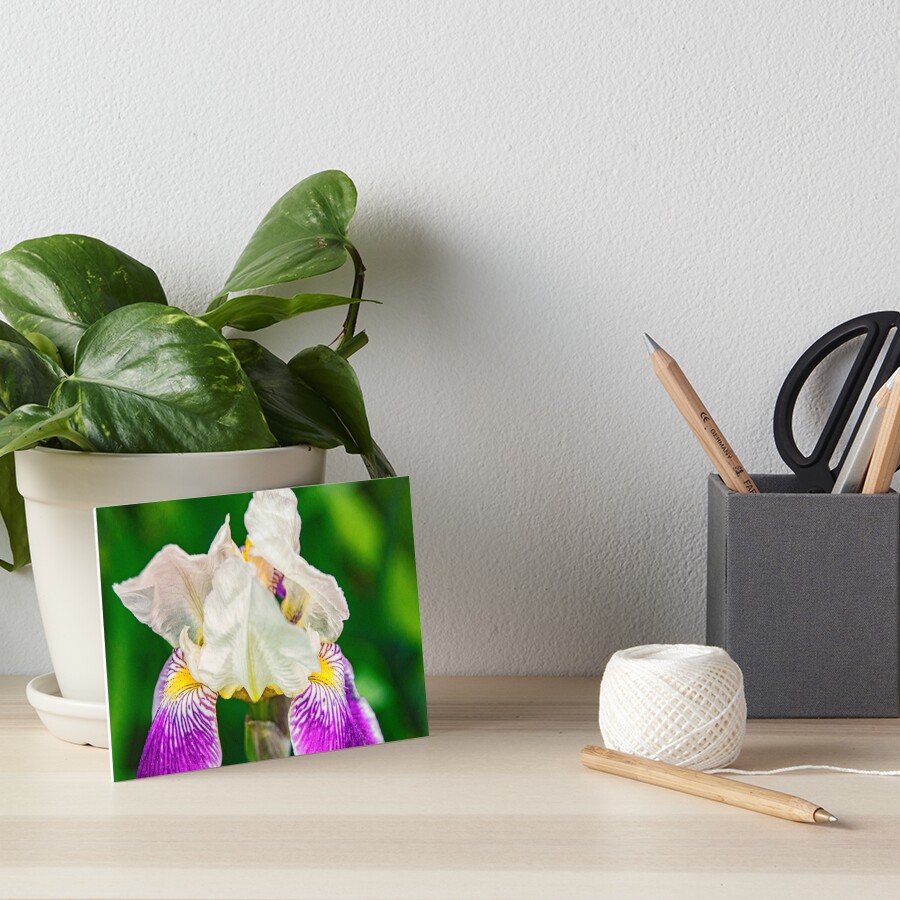 Item preview, Art Board Print designed and sold by Ruthie33.
