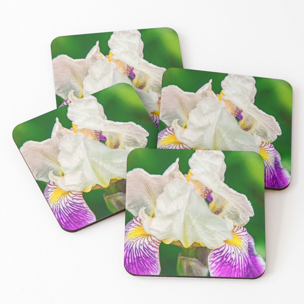 Item preview, Coasters (Set of 4) designed and sold by Ruthie33.