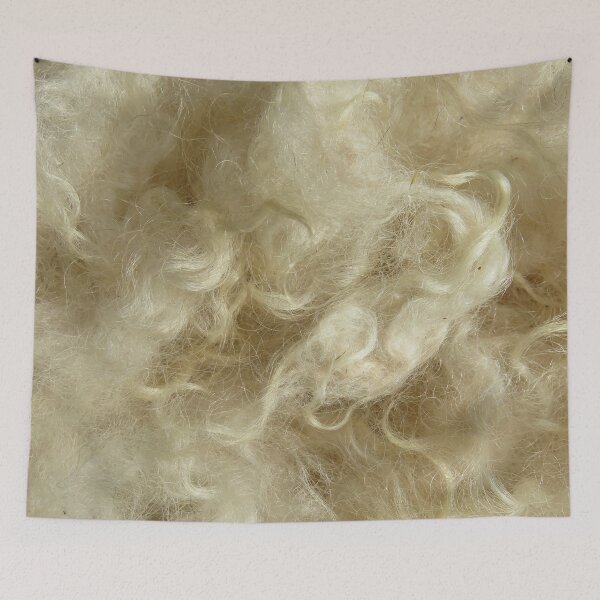 Item preview, Minnesota natural color Icelandic lamb wool fleece #4 designed and sold by ChillonLeachArt.