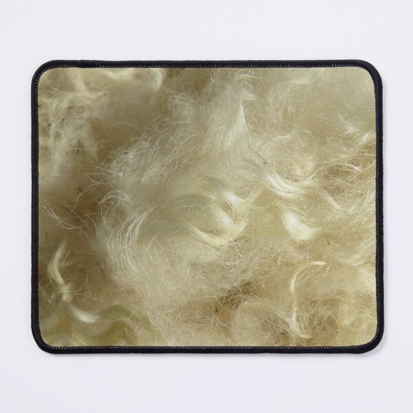 Item preview, Minnesota natural color Icelandic lamb wool fleece #5 designed and sold by ChillonLeachArt.