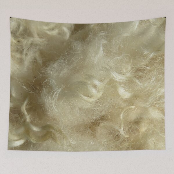 Item preview, Minnesota natural color Icelandic lamb wool fleece #5 designed and sold by ChillonLeachArt.