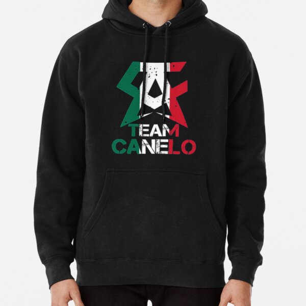 Canelo under hot sale armour hoodie