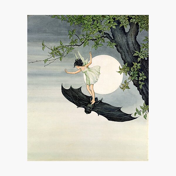 Little Fairy Girl Riding a Bat #2 - Ida Rentoul Outhwaite Photographic Print