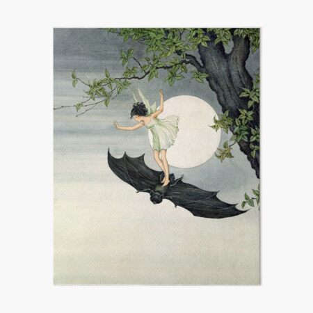 Little Fairy Girl Riding a Bat #2 - Ida Rentoul Outhwaite Art Board Print
