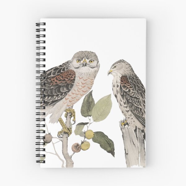 Item preview, Red-shouldered Hawk designed and sold by Joshua Cholick.