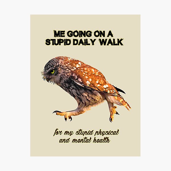 Item preview, Me going on a stupid daily walk for my stupid mental health owl - light backgrounds designed and sold by IMNIUM.