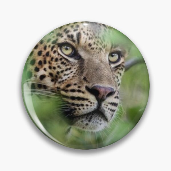 Item preview, cheetah watching you designed and sold by artigrow.