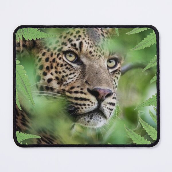 Item preview, cheetah watching you designed and sold by artigrow.