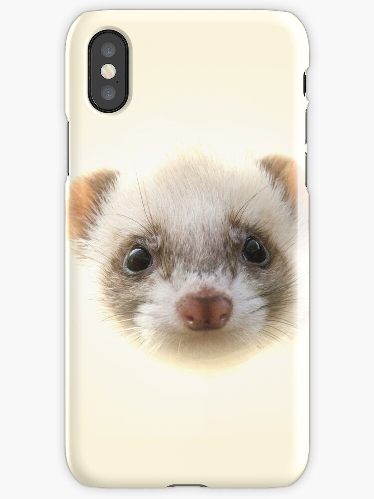 coque iphone 5 furet coque iphone 5 furet