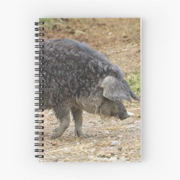 Item preview, Mangalica Pig designed and sold by Mythos57.