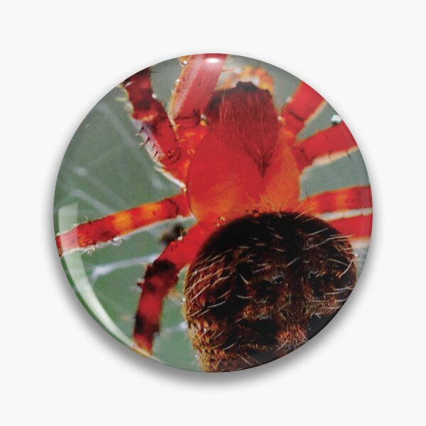 Item preview, Red Spider waits in web designed and sold by Visual-Minds.