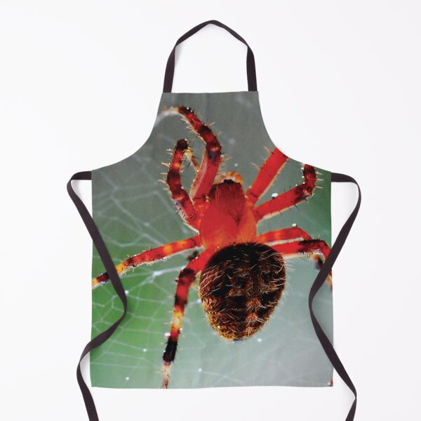 Item preview, Red Spider waits in web designed and sold by Visual-Minds.