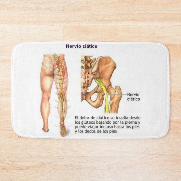 Item preview, aciatic nerve designed and sold by RenatoGuzman.